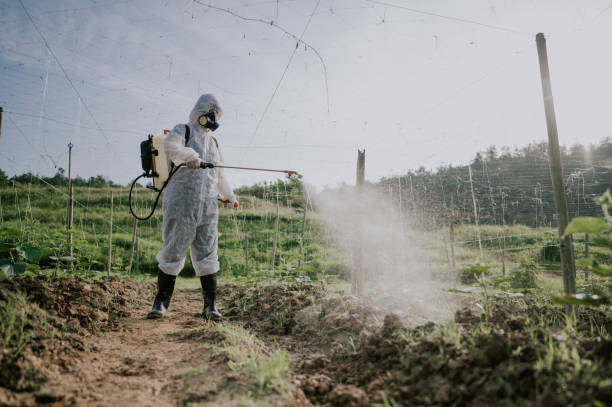 Best Commercial Pest Control Services  in Baxter, MN