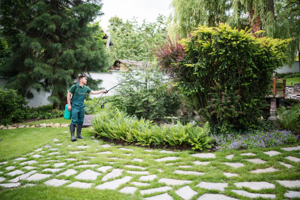 Best Best Pest Control Companies  in Baxter, MN