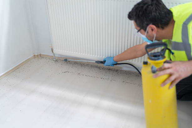 Best Local Pest Control Services  in Baxter, MN